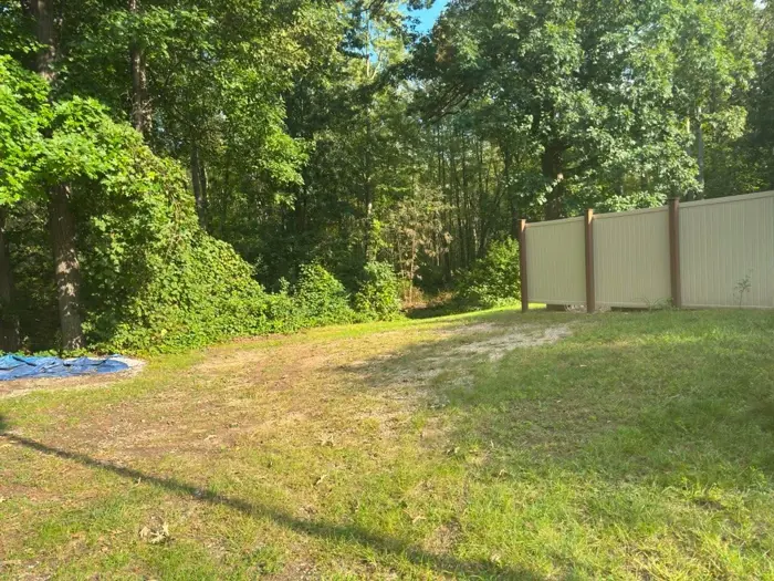 The same yard cleared down to grass